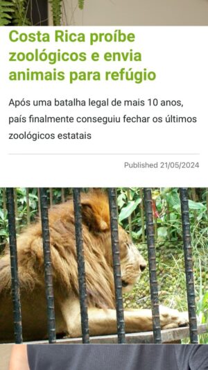 Rodrigo Dorado Instagram - Fim dos zoológicos? Futuro das cidades? Vamos falar sobre isso! #direitodosanimais #vidaselvagemlivre #proteçãoanimal #sãopaulocapital