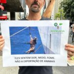 Rodrigo Dorado