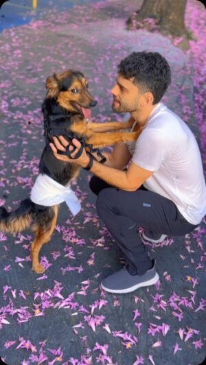 Rodrigo Dorado Instagram - Vocês já conhecem o Cappuccino? 🐾 

Ele foi resgatado das enchentes no Rio Grande do Sul e, após receber muito cuidado e amor de voluntários em um abrigo em Canoas, foi trazido para São Paulo. 

Desde que chegou, Cappu está internado na @clinicat24hs , lutando contra anemia, doença do carrapato e cinomose. Felizmente, ele está recebendo tratamento de primeira e muito carinho de toda a equipe. 

Ele já está muuuuito melhor! 🙌🏼

Estamos contando os dias para ele finalmente ir pra casa. Torçam por ele! 🙏🏼❤️