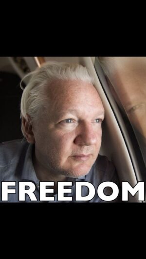 Roger Waters Instagram - Roger Waters on Julian Assange’s Freedom

“Thank you for the huge sacrifice you made for the rest of us”

#julianassange #assange #freedom #uk #unitedkingdom #us #usa #unitedstates #america #australia