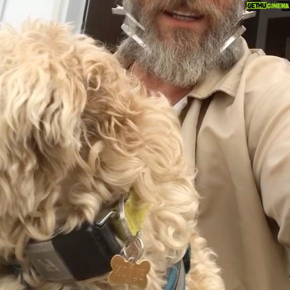 Roland Møller - 1.4K Likes - Everybody, Say HI - to the bad guy.
Spit shining my screen.
Had the honour to take care of My lovely colleague’s rescue dog. ELTON 🐶
We b hanging out, working on his cavalier manners while his momma is making big movie moves. 🎥 🍿
Dog’s and angels and not very far apart.
#charlesbukowskiquotes
#rescuedog
#rolandsdogpension
#intoku
#affectionate
#imprivileged
#danishviking
#stilldontgivea🖕🏼- but I do care alot.
#eleutheromania
#menfromthenorth
#scandinavianvillain
#weaponizeyourprivilege
#notyourordinarygentleman
#oneofthelastfewrealvikings
#citadelseries