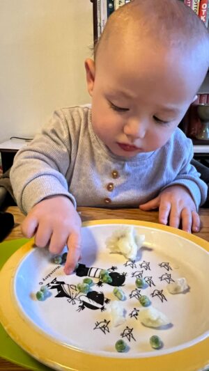 Rolanda Marais Instagram - Eating has become a seriously messy business with this one. Hy wil alles SELF doen. 🤦🏻‍♀️🤢.dis so n gross situasie veral as hy nog Siek is ook 😂😂. Darem het Ek nou die oulike EXPLORA MAT ontdek van @tommeetippeeza . Dit suig lekker vas aan die tafel sowel as die bord. So darem skuif die bord nie meer heeltyd rond nie...😂. Baby steps . Kry 15 % afslag op enige produk as jy my kode gebruik : rolandam15 . Click op die link in my bio om direk na die website te gaan #myplesier😉 #weaning #solids #baby #ttza #ttzaambassador #tommeetippeeza