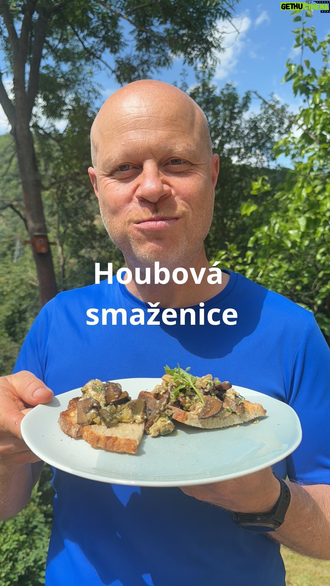 Roman Paulus - 862 Likes - RECEPT NA HOUBOVOU SMAŽENICI S VAJÍČKEM NA CHLEBU
Sezóna hub začíná, připravte si se mnou skvělý houbovým pokrm, na kterém si zaručeně pochutnáte! O víkendu jsem byl v Jižních Čechách v lese na procházce a tolik hub, co jsme našli jsem si ani nedovedl představit. Pravé hříbky, kováře, kozáky, babky, růžovky, no prostě nádhera! Opravdu jsme si to houbaření moc užili.
Pojďme si společně připravit houbovou smaženici s vajíčkem. Houby můžete samozřejmě vyměnit, já jsem měl pravé hříbky a kozáky, ale smaženice je výborná i s liškami, suchohříbky i jinými houbami.
A co z hub připravujete Vy? Dáváte je do polévek nebo do omáček nebo je máte také nejraději takto do smaženice? Dejte mi vědět do komentářů a nezapomeňte mě sledovat pro více skvělých a jednoduchých receptů a triků do kuchyně.
Co budete potřebovat?
2 × lžíce olivového oleje nebo másla
sůl
pepř
1× cibule
4× stroužky česneku
400 g lesních hub (hříbky, suchohříbky, lišky nebo co máte k dispozici)
Kmín, můžete přidat i čerstvý tymián
4× vejce
petržel
chléb na opečení
extra panenský olivový olej
čerstvé bylinky na podávání
Jak budete postupovat?
V pánvi rozehřejte máslo nebo olivový olej, na kterém orestujte nejprve kmín, cibuli a česnek nakrájené nadrobno. Přidejte očištěné a nakrájené houby, osolte a opepřete. Orestované houby duste na mírném ohni 3 - 4 minuty. Přidejte rozšlehaná vejce, ale dávejte pozor, aby se vejce úplně nesrazila. Vypněte sporák a vmíchejte nasekanou listovou petržel. Podávejte s chlebem opečeným na olivovém oleji a ozdobte čerstvými bylinami.
Dobrou chuť!
#recepty #recept #houby #obed #vecere #jidlo #jidlonaprvnimmiste #jidlojelaska #jidlojezaklad #sefkuchar #romanpauluschef #romanpaulus