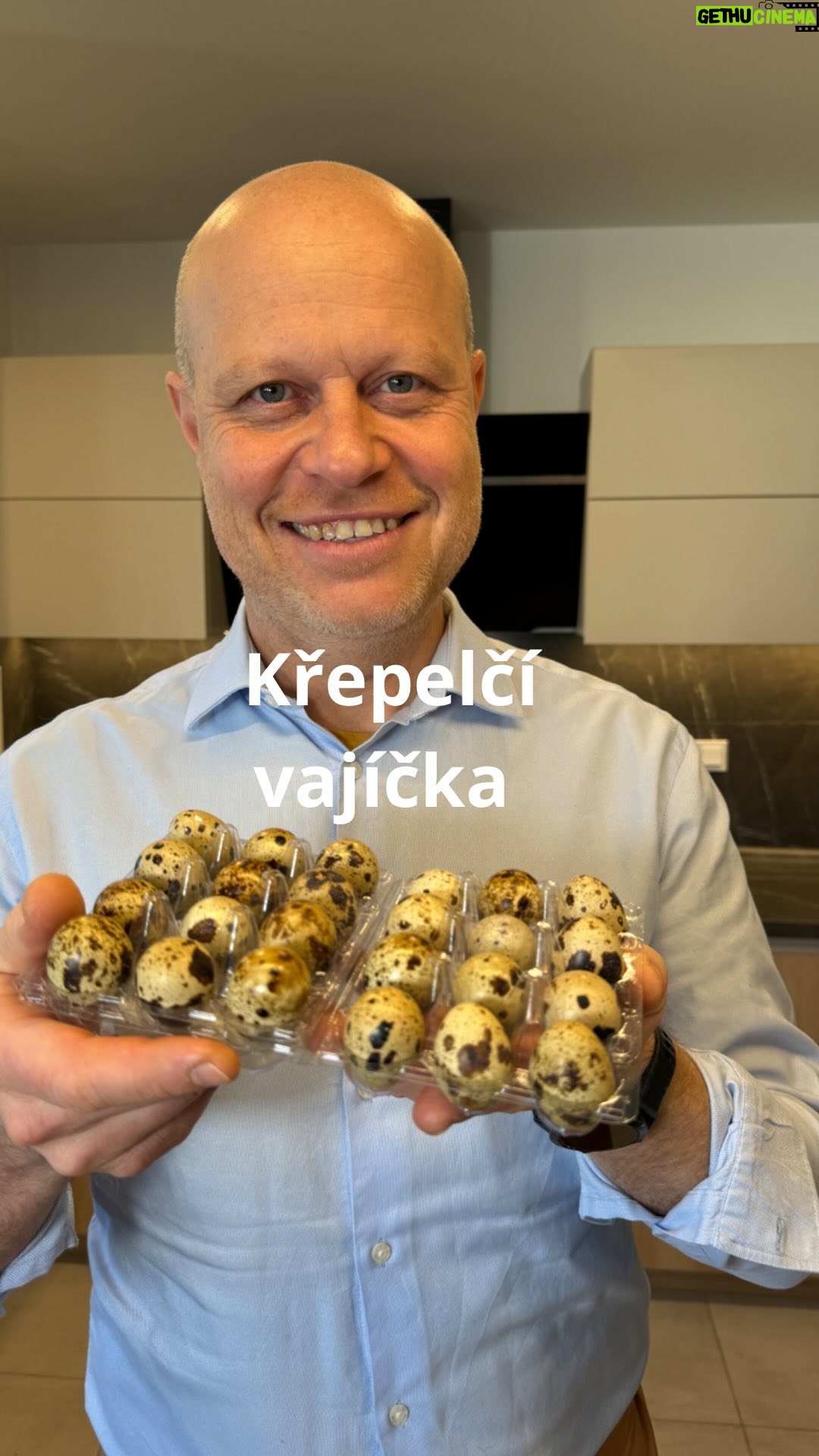 Roman Paulus - 716 Likes - Křepelčí vajíčka, krásná, kropenatá a velmi chutná! Pojďte se jim se mnou podívat “pod skořápku”.
Už jste je vyzkoušeli? Nebo je konzumujete pravidelně?
Dejte mi vědět do komentáře a nezapomeňte mě sledovat pro více skvělých receptů a tipů do kuchyně.
#tipy #triky #zajimavosti #zkuchyne #vajicka #krepelka #krepelcivajicka #volskeoko #obed #vecere #jaro #sefkuchar #romanpaulus #romanpauluschef