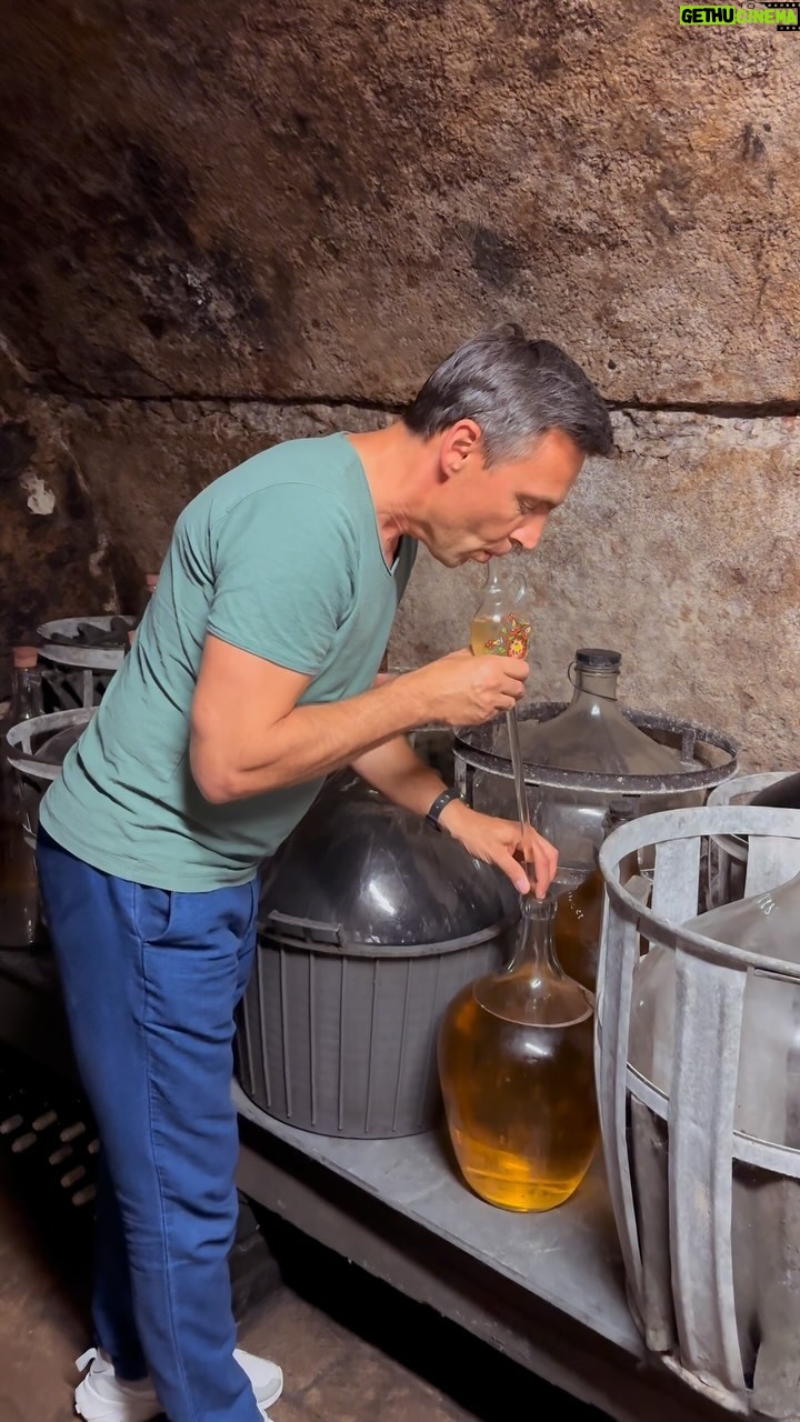 Roman Vojtek - 540 Likes - Tož pjekňučké je to na tej jižní Moravě 🤪 A gdyž máš strýca vinařa… je svět krásně červenobíý 🍷🥂🍇 #vesklipku #morava #vino