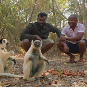 Romesh Ranganathan Instagram - The last ever episode of Misadventures tonight at 9pm on BBC Two. They’re all on the @bbciplayer if you fancy. It’s been an amazing experience - thanks so much for watching. Tonight it’s Madagascar.