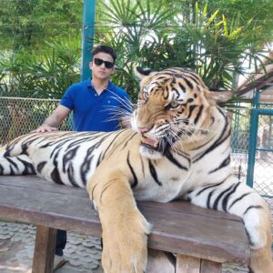 Romit Raj Instagram - I Love Tigers ❤️ 🐾 
My Most Favourite 
#tiger #animal #beast #wildcats #wildlife #RomiitRaaj #RR1