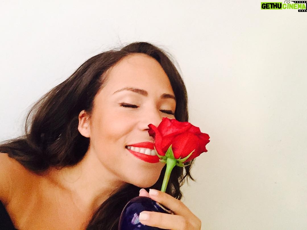 Rosal Colon - 1K Likes - 🌹#I'mARosebush