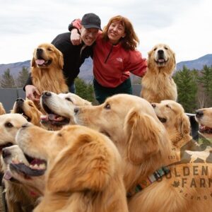 Rose-Aimée Automne T. Morin Instagram - Après j’arrête… C’est juste que la copropriétaire de @goldendogfarmvt est photographe et qu’on vient de recevoir ça!
