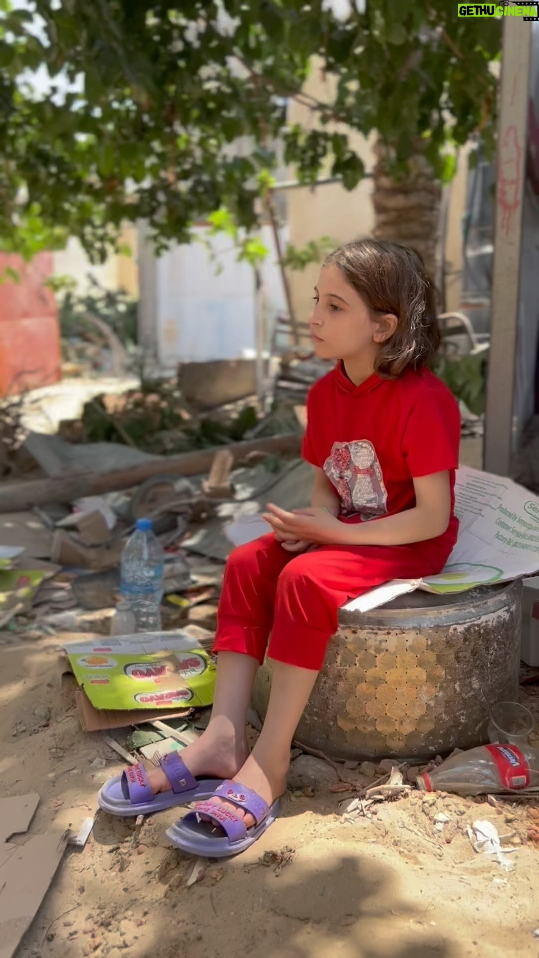 Roshdi Sarraj - 1.6K Likes - حتى مع القصف وبين الركام.. يبدو الأمل حاضراً لا يغيب..
Even with bombardment and between the rubble.. Hope is still here !
#Gaza #gazaunderattack #war #palestine #today #reels #fyp #fypシ