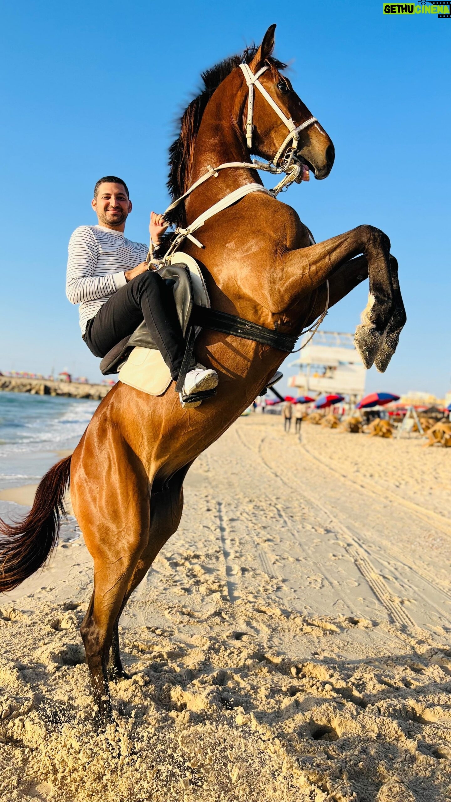 Roshdi Sarraj - 1.6K Likes - I only ride horses 🐎
#horse #beach #sport #gaza #sea #riding #sunset #reels #enjoy
