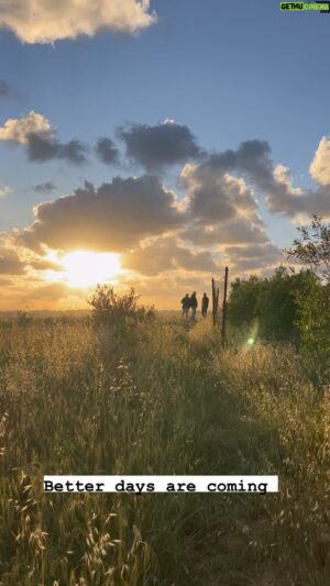 Roshdi Sarraj Instagram - Better days are coming ❣️

#sunset #reels #today #friday #farm #gaza #fyp #fypシ