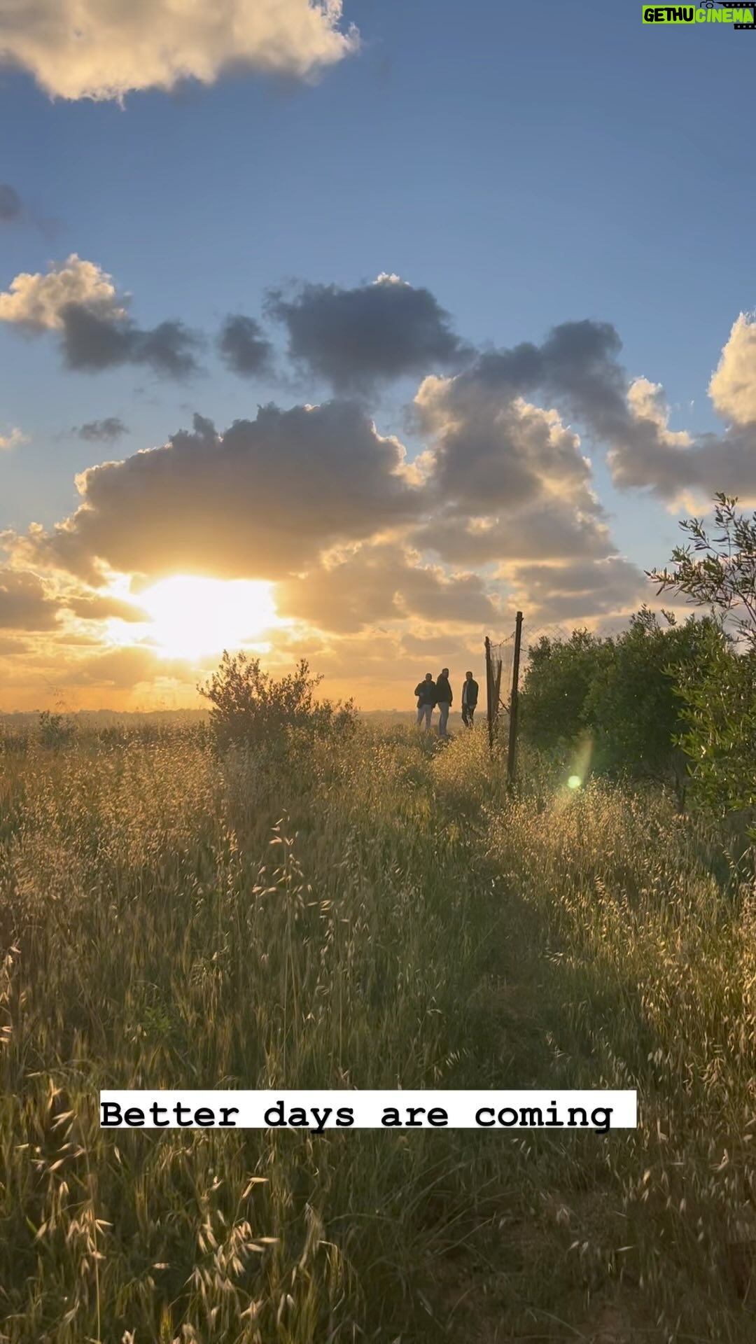 Roshdi Sarraj - 1.1K Likes - Better days are coming ❣️
#sunset #reels #today #friday #farm #gaza #fyp #fypシ