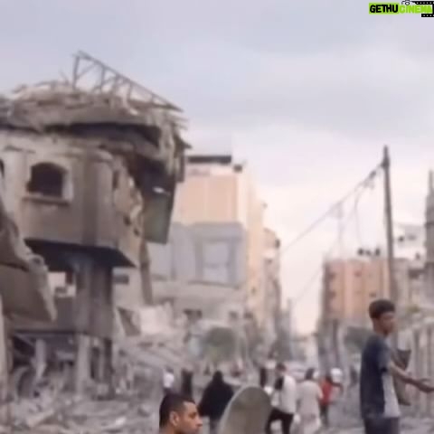 Roshdi Sarraj - 38.1K Likes - Watch|| One minute in Gaza Strip!
