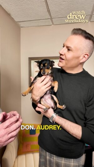Ross Mathews Instagram - @westminsterkennelclub President Don Sturz confirms: @helloross’ Audrey is perfect! 👸🐾