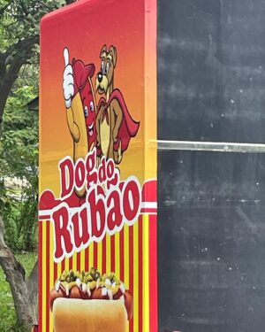 Rubel Instagram - Relato de um domingo de ressaca 

Hoje faz treze anos que Caetano atravessou a rua concentrado no Leblon. Lembrei de um ensaio da revista Piauí em que o próprio estagiário que escreveu essa matéria explicava o raciocínio por trás da escolha de um acontecimento tão prosaico para estampar um site de notícias. Não lembro do raciocínio agora. Minha memória anda uma merda. Eu acho que foi o Covid. Depois do Covid ela nunca mais foi a mesma. Eu lembro da sensação das coisas mas esqueço os detalhes, muitas vezes. Eu lembro que a explicação do jornalista era boa. Tinha alguma coisa irônica, uma tentativa subversiva de sacanear o estado das coisas - ou foi só uma ideia que a pessoa chegou a posteriori para se sair melhor. 

Domingo de ressaca é muito difícil sair da cama. Venho tentando recuperar meu apetite para a vida social, mas isso quase sempre vem acompanhado da ressaca, o que me faz querer quase sempre voltar para a vida não tão social. Mas não. A vida social me faz mais feliz. A amizade se faz no exercício da presença. Nunca fiz amigos bebendo leite, já disse alguém. 

Amanda tinha me pedido para postar uma crônica essa semana. Vai essa aqui mesmo, errática como a terapia dessa semana, prosaica como uma pessoa atravessando a rua concentrada. 

Ps: talvez a matéria não dissesse exatamente “atravessa a rua concentrado”. Mas é como eu me lembro.