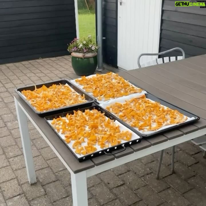 Ruben Søltoft - 13.7K Likes - godt nytår!!! 🚀🚀