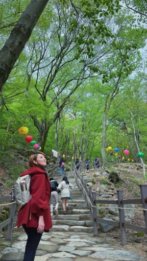 Ruby Yap Instagram - 靜心之地 💛
佛像太美 能量太好

#石窟庵 #韓國 #慶州 #釜山 
#佛像不能拍 #聽說能預約拜拜 #travelvlog #busan #korea