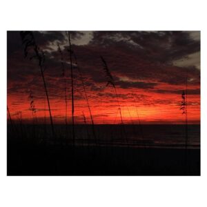 Ruta Gedmintas Instagram - Sky on fire. Florida sunset.