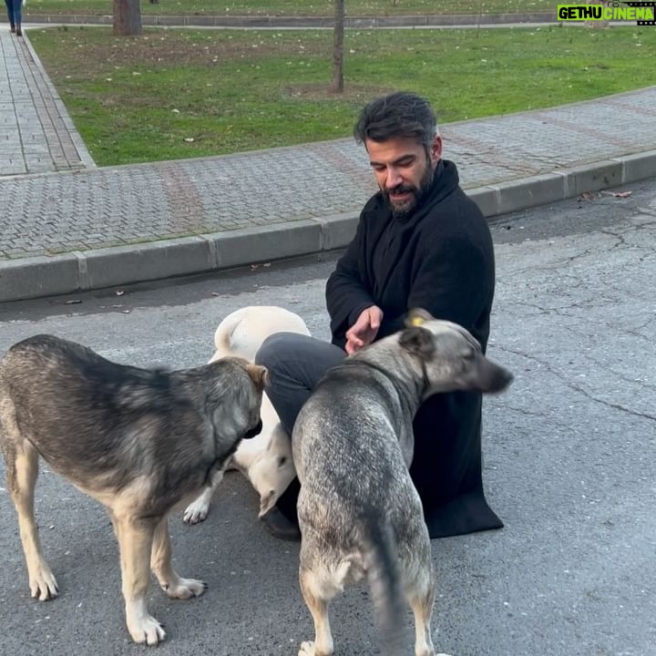 Rüzgar Aksoy - 48K Likes - Sevdamızı kavgamızı neşemizi kahrımızı çeken can okulum #istanbulüniversitesi ‘ne nostaljik özlem ❤️😊 #sundayfunday #myheroacademia