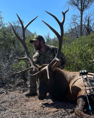 Ryan Bader Instagram - Had two days to run up and help @terry.houin & @frogman5326_  Navy SEALS who got donated unit 22 archery bull tags from @outdoorexperience4all for disabled veterans.
@frogman5326_ was brand new to bow hunting and was learning on the job & caught on quick until he finally connected on a bull. @terry.houin put in some miles and days in the binos until the rut really kicked off and got a stud bull the morning after Ryan. These guys worked their asses off. Honored to call them friends and we had an absolute blast and they went home with great memories and a ton of meals.
