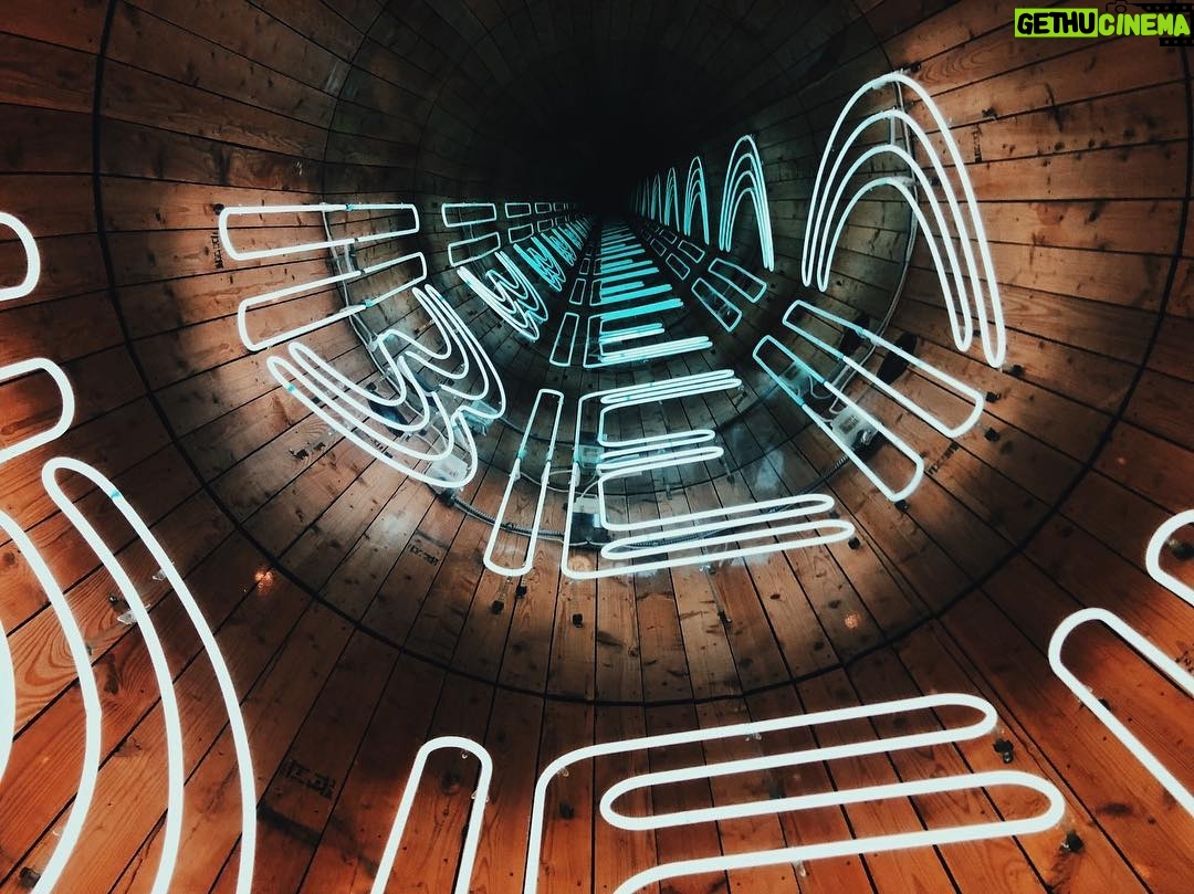 Ryan Connolly - 3.5K Likes - Neon for days.