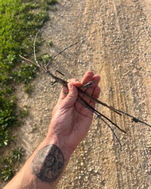 Ryan Holiday Instagram - I’ve lived on a rural country road for many years. It’s unpaved and unmaintained by the county or the state, lined with trees, and more frequently crossed by deer and jack rabbits than people. It’s a throwback to an older, simpler way of life.

It’s also a throwback to a scene I’ve always remembered from Mad Men, where Don Draper and his family finish their picnic and then nonchalantly throw all their trash into the grass below.

My experience walking and running and biking and driving on this road has been to witness the return of that attitude. People dump tires and old mattresses. They dump debris from construction sites. They dump beer bottles and candy wrappers. They dump illegal deer kills and for some inexplicable and alarming reason, a lot of dead dogs.

At first, this just pissed me off — especially because the nails kept giving me flats. It made me angry at humanity and the place that I lived. I tried calling the police and animal control and my local politicians — of course, they did nothing. I put up cameras which did nothing. I despaired about the climate and the future. I thought about moving.

But then one morning on my walk with my kids, a thought hit me that was both freeing and indicting. How many times do I have to walk past this litter, I thought, before I am complicit in its existence. Even if I moved to a place where this didn’t happen, I thought, it would still be happening here. Marcus Aurelius was right when he said that you can also commit injustice by doing nothing.

So I started cleaning it up. The tires went into the back of my truck—and I paid to have them properly recycled. I tossed nails and screws into the trash. I’ve put on face masks and gloves to scoop up dead dogs, which I burned or took to the back of my ranch to decompose in a less disruptive place.

I can’t say the experience is pleasurable and it’s not exactly saving the world, but it is empowering.

I talk in my new book “Right Thing Right Now” (you can preorder it at the link in bio) that Justice is about starting small and doing what you can to save people from trouble or pain—and that these little things add up.