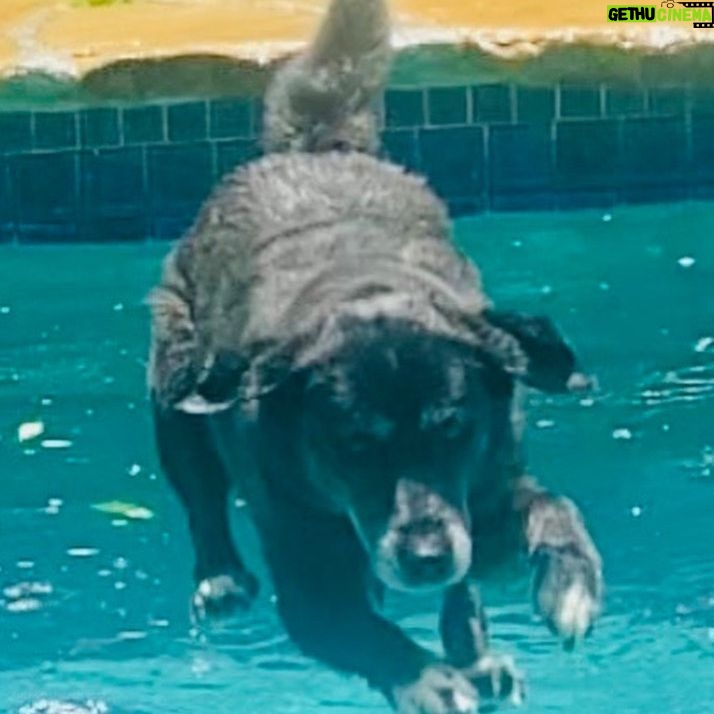 Ryan Hurst - 2.3K Likes - Great Dayz!!🥰👍🙏⚡️💖🐶