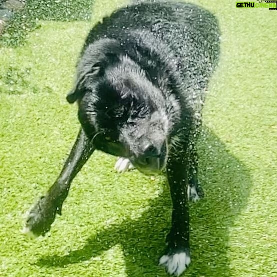Ryan Hurst - 2.3K Likes - Great Dayz!!🥰👍🙏⚡️💖🐶