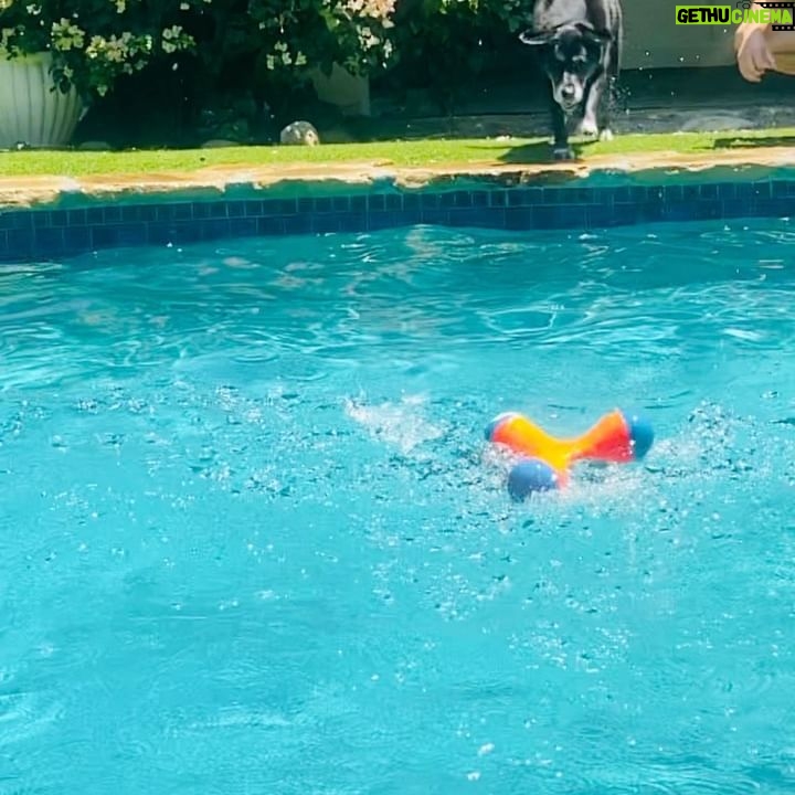 Ryan Hurst - 2.4K Likes - Dog Days of Summer!
