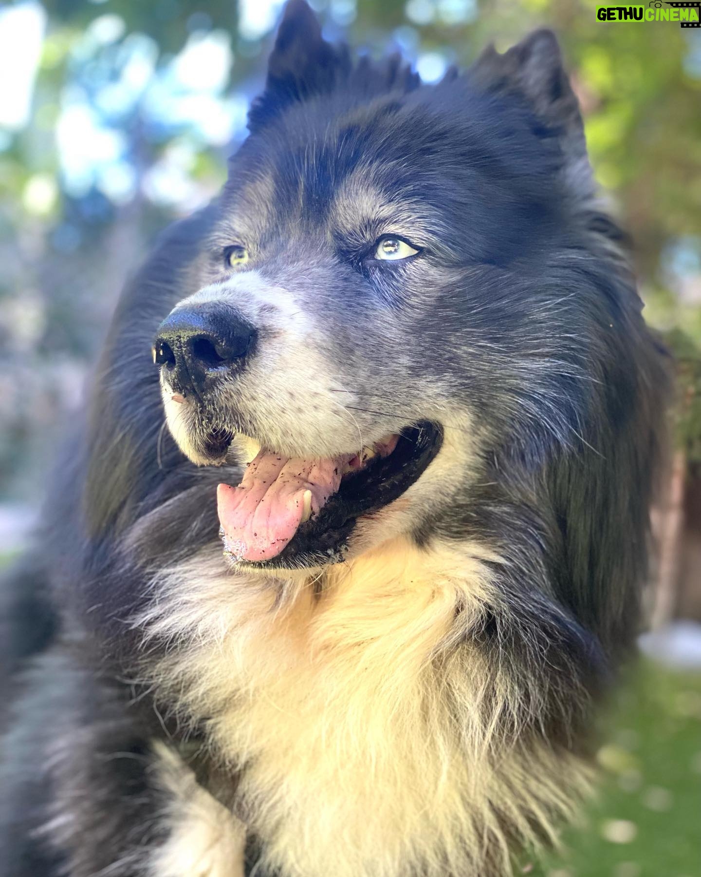 Ryan Hurst - 2.4K Likes - Dog Days of Summer!