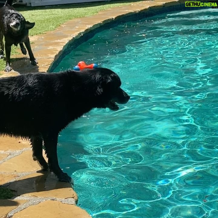 Ryan Hurst - 2.4K Likes - Dog Days of Summer!