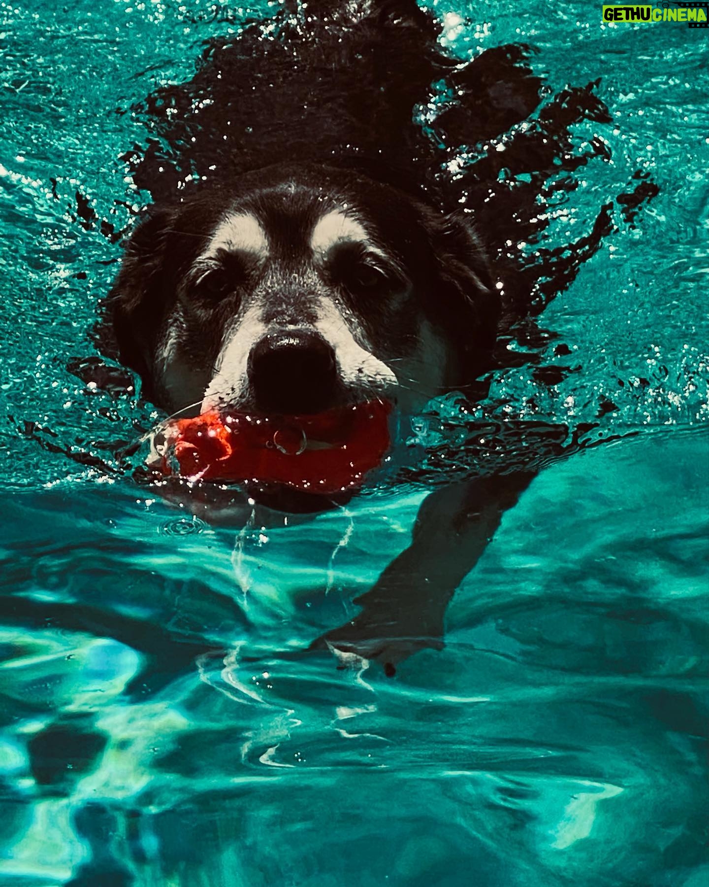 Ryan Hurst - 2.4K Likes - Dog Days of Summer!