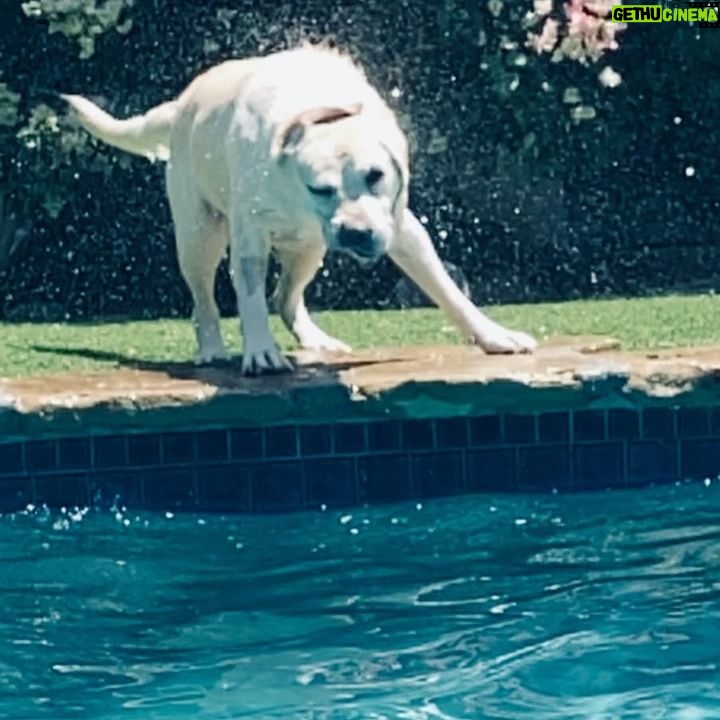 Ryan Hurst - 2.4K Likes - Dog Days of Summer!