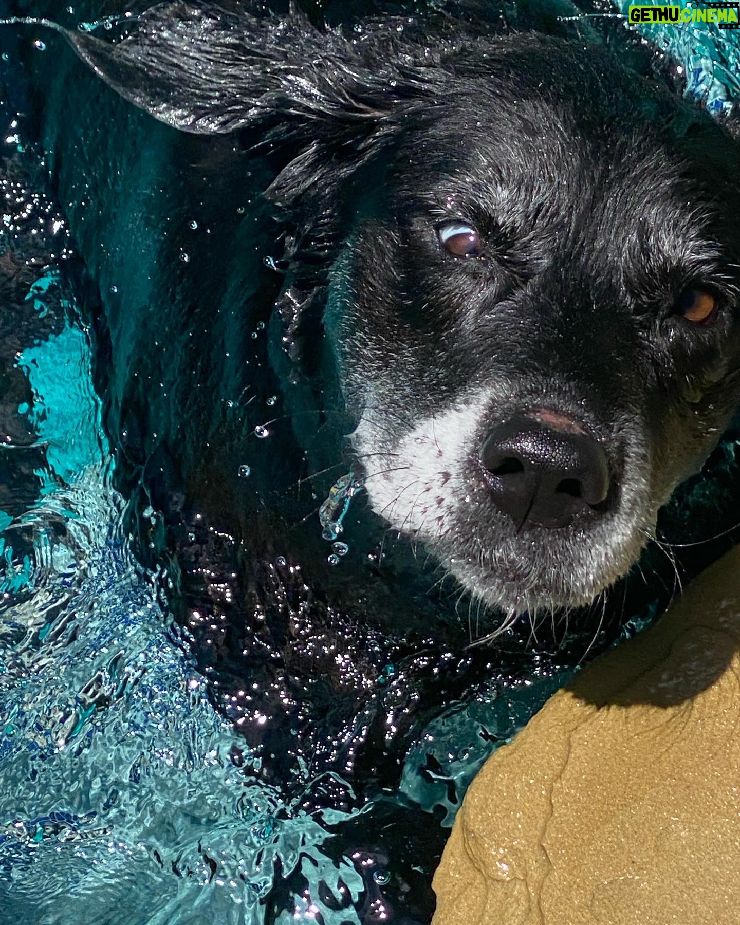 Ryan Hurst - 2.4K Likes - Dog Days of Summer!