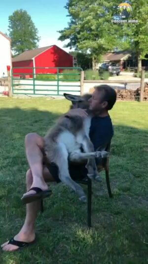 Ryan O'Nan Instagram - TOO DAMN CUTE!! #donkey #❤️