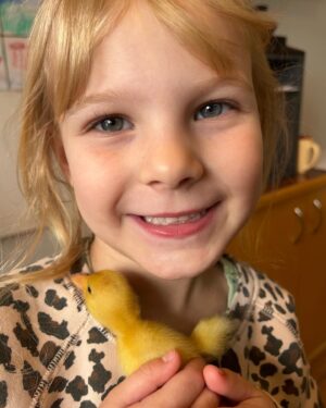 Rylea Nevaeh Whittet Instagram - Rylea with a couple of chicks 🐥 🐤 #ryleanevaehwhittet #ryleawhittet #maddyfrommaid  #babychicks #cute #tuesday #animallovers #toocute #toocuteforwords #smileyrylea