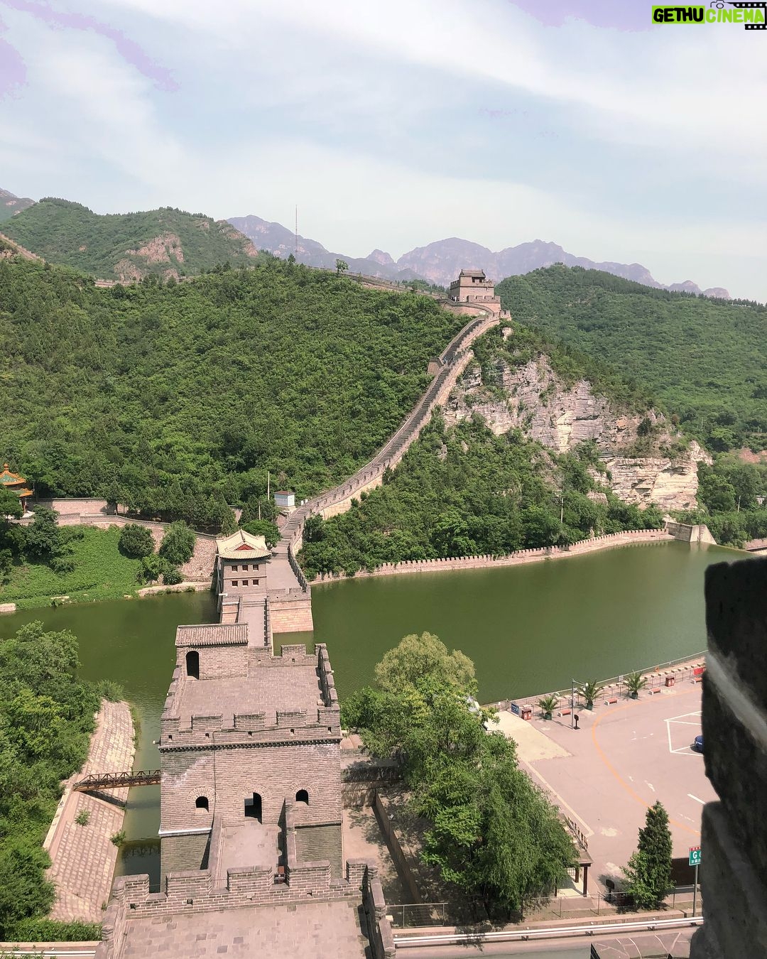 Rylee Mackintosh - 285 Likes - #greatwallseries