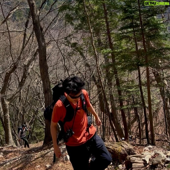 Ryo Narita - 82.6K Likes - 山山、最近の山山