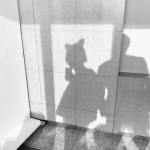 Ryo Narita Instagram - ニワトリ⭐︎フェニックス

東京大阪初日
満員御礼感謝
ありがとう

そして
こっから、
淡路島　洲本オリオン
広島　シネマ尾道
福島　フォーラム福島
宮城　チネ・ラ・ヴィータ
山形　ソラリス　
MOVIE ON やまがた

舞台挨拶させてもらいます！

映画館で会いましょう！