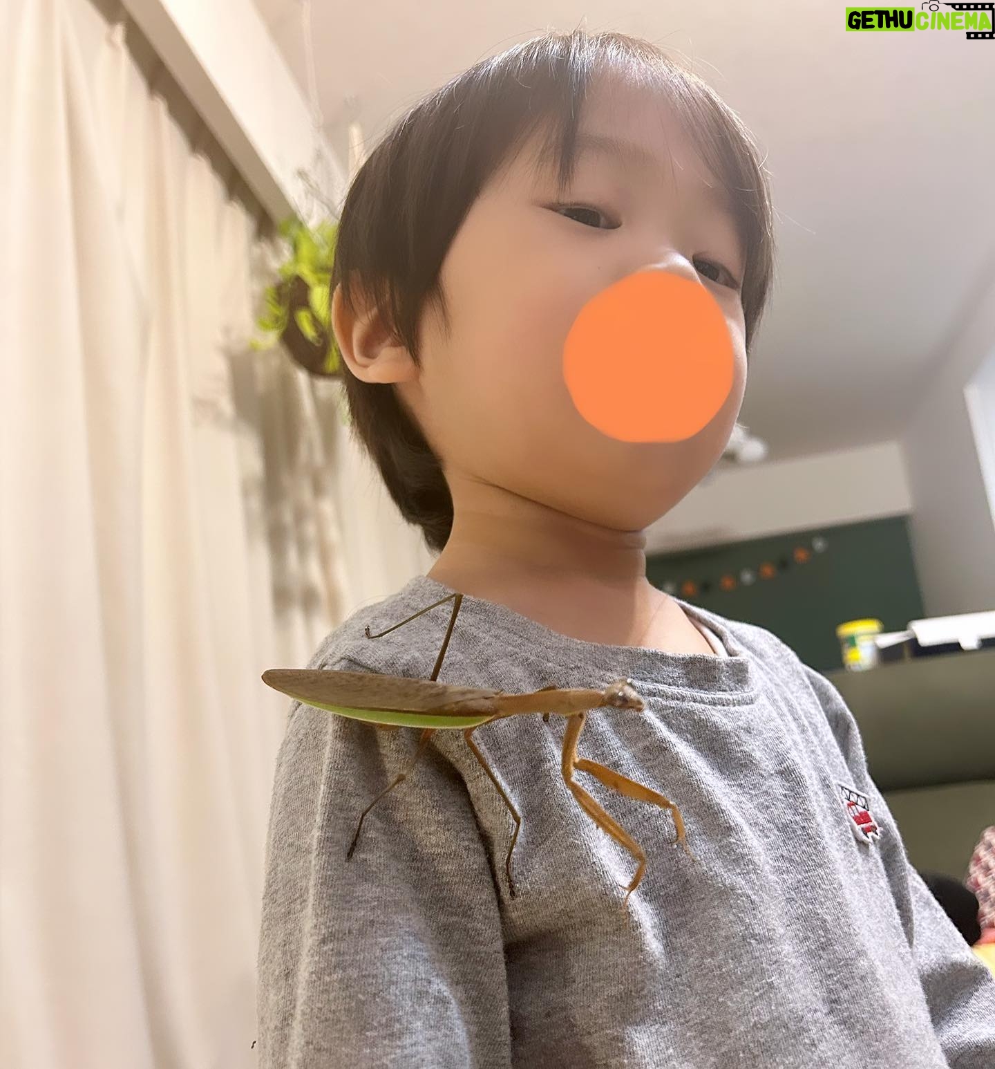 Ryoff Karma - 2.8K Likes - 大カマキリボーイ