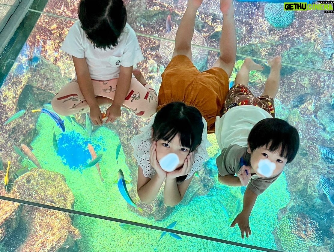 Ryoff Karma - 8.8K Likes - 夏っぽい事成功