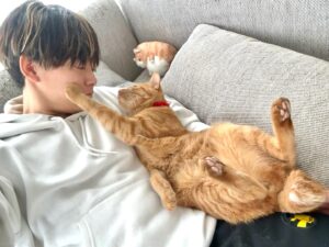Ryogo Matsumaru Instagram - めっちゃいい瞬間撮れた…！！！

#猫