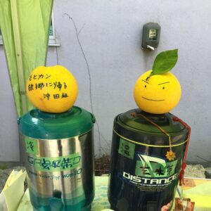 Ryuhei Matsuda Instagram - モヒカン故郷に帰る