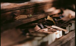 Ryuichi Sakamoto Instagram - In the spring of 2019, Ryuichi placed a piano in his NYC backyard and left it exposed to the elements to observe how the piano would return to nature. The piano blended with the seasons for several years before relocating to an artist friend’s garden in Upstate NY.
These photos show the piano’s transformation and beauty as it returns to nature.

photo by: 
1. Neo Sora  2.3.4. KAB America Inc.
5.6. Bill Kirstein 

#skmtnews
#ryuichisakamoto
#naturepiano