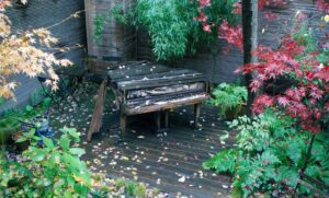 Ryuichi Sakamoto Instagram - In the spring of 2019, Ryuichi placed a piano in his NYC backyard and left it exposed to the elements to observe how the piano would return to nature. The piano blended with the seasons for several years before relocating to an artist friend’s garden in Upstate NY.
These photos show the piano’s transformation and beauty as it returns to nature.

photo by: 
1. Neo Sora  2.3.4. KAB America Inc.
5.6. Bill Kirstein 

#skmtnews
#ryuichisakamoto
#naturepiano