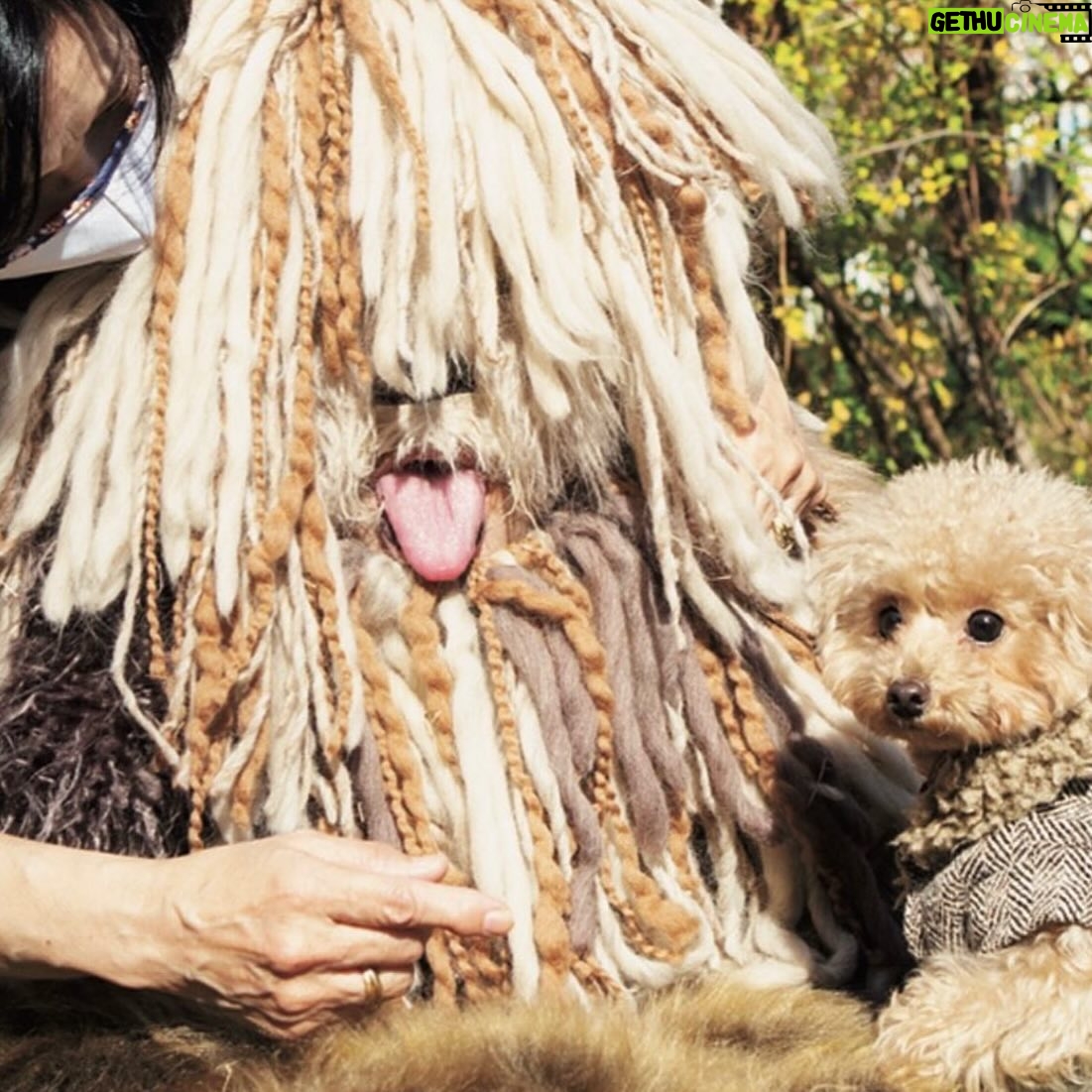 Ryuji Akiyama - 8.7K Likes - 5月13日は愛犬の日。
世界一クリエイティブな大型犬、ロルフくん。
公園に行くのが大好きだというロルフくんは、体重が96kgあるのもかかわらず元気に飛び回る。
ロルフがおなかを見せるのはクリエイティブな職業に就いている人が多いというのは有名な話。
では、ロルフくんは何という犬種でしょう?!
答えは明日の投稿の最後で!
※昨日のクイズの答え→「ガーデンに日本の四季を取り入れる」
#クリエイターズファイル
#ロルフくん
#大型犬
#クリエイター
#クリエイティブ
#写真日記
#日記
#記念日
#ダイアリー
#クイズ
#サプライズ
#netflix
#毎日投稿
#ロバート秋山
#お笑い好き