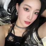 SAEBOM