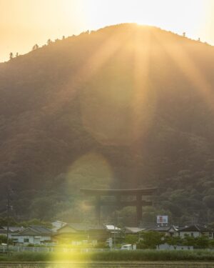 SHOCK EYE Instagram - ついに、ついに、撮れたぁ✨✨✨✨
奈良のパワースポット、大神神社の御神体である三輪山に朝日がかかる、、ダイヤモンド三輪山🙏✨

ずっとずっと撮りたくて、でもスケジュールが合わなかったり、
天気に恵まれなくて奈良行きを諦めたり、、、

でも今朝ついに、撮影することができました。

とてもとても嬉しい😭

そんな写真を皆さんにシェアします。
皆さんに良いことがありますように😊🙏✨

#三輪山 #大神神社 #ダイヤモンド三輪山 #奈良県 #パワースポット