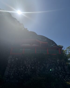 SHOCK EYE Instagram - 熊野を訪れたら必ず行ってほしいところ。
それは神倉神社⛩️

なぜならば、
熊野大神が熊野三山として祀られるよりも前、
一番最初に神様が降臨したとされる場所だから✨ 

天ノ磐盾という険しい崖の上に鎮座し、
その御神体はゴトビキ岩と呼ばれる大きな磐座。
いかにも聖地という感じだ。

ここで行われる御神事、、御燈祭りは、
松明を持った男たちが538段の急な階段を駆け下るそう。
いつかこの目でみてみたい🔥✨

急な階段が本当に険しいけれど、登った甲斐のある素晴らしい神社さんでした。
この日は光もすごかったしなあ。

皆さんにも、
是非、巨石のパワーを直に感じてみてほしいな^ ^

#神倉神社 #熊野大社 #パワースポット